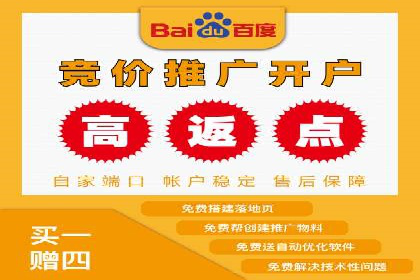 百度搜索广告案例：如何通过精准投放提高转化率